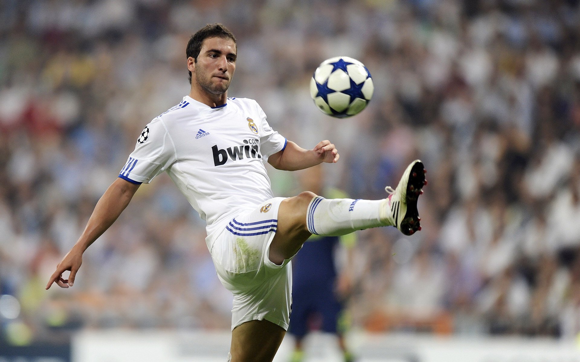 CBA季后赛激战正酣 辽宁本钢力克广东宏远迎开门红