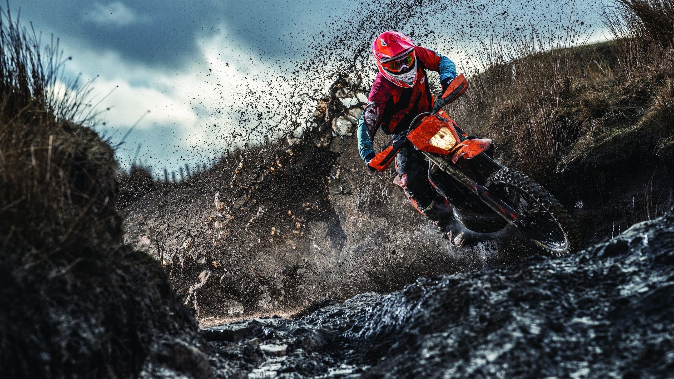 自由泳新星闪耀全国锦标赛，破纪录夺冠引热议