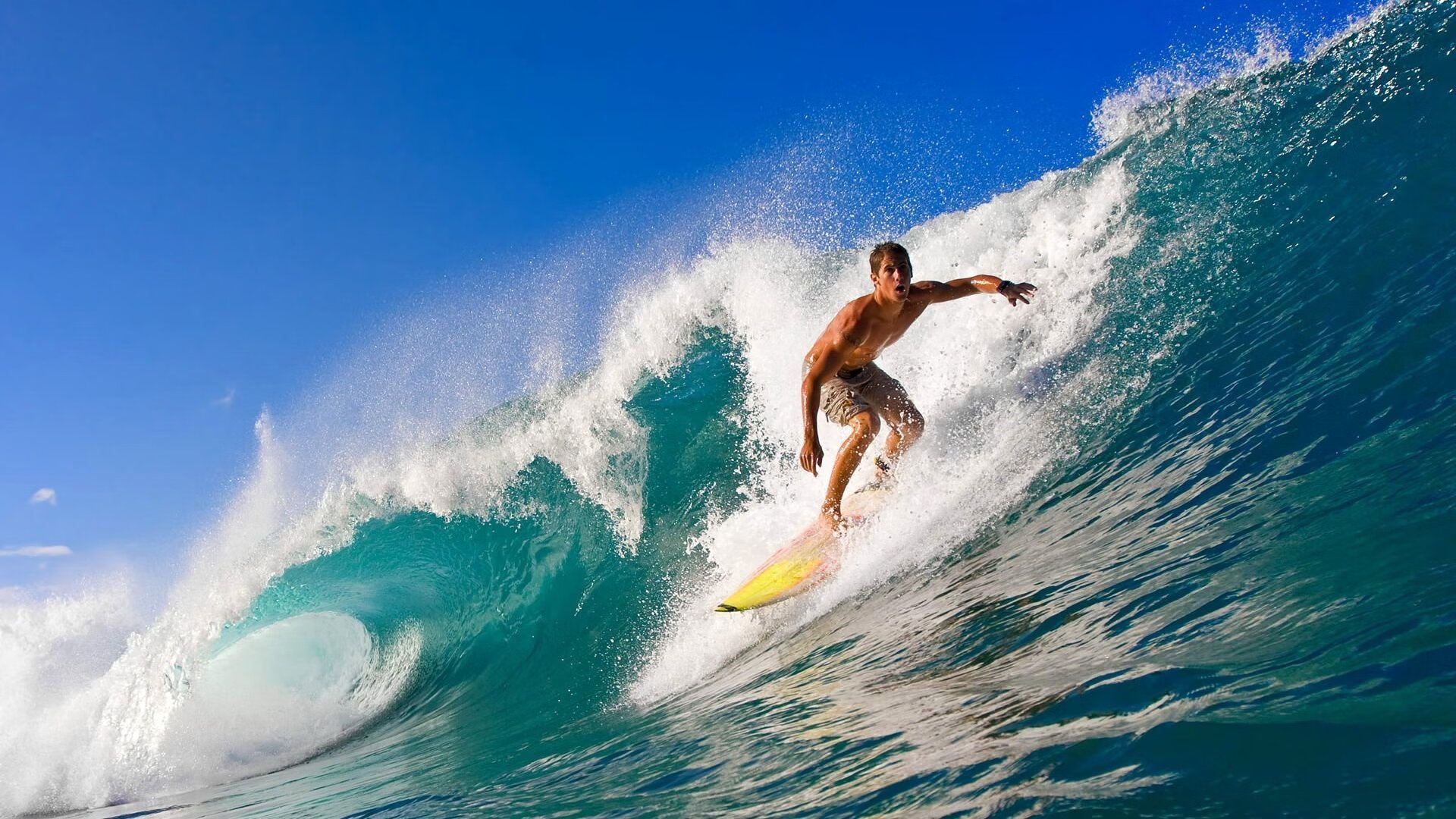 中国跳水队再创辉煌，包揽世锦赛全部金牌